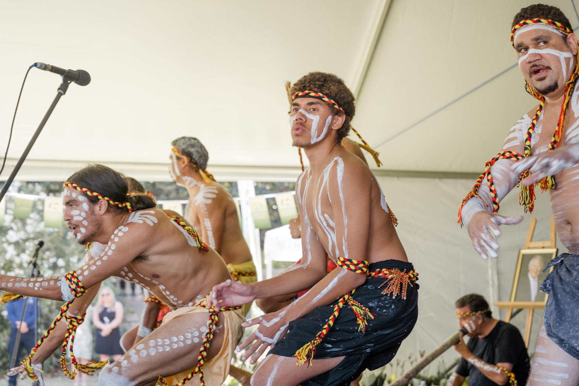 Aboriginal and Torres Strait Islander Culture Image