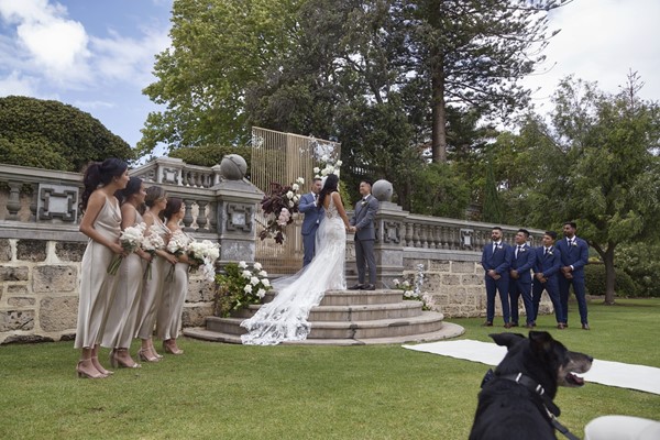 Wedding Photo Albums - Anthea Auld Photographer - Main Lawn