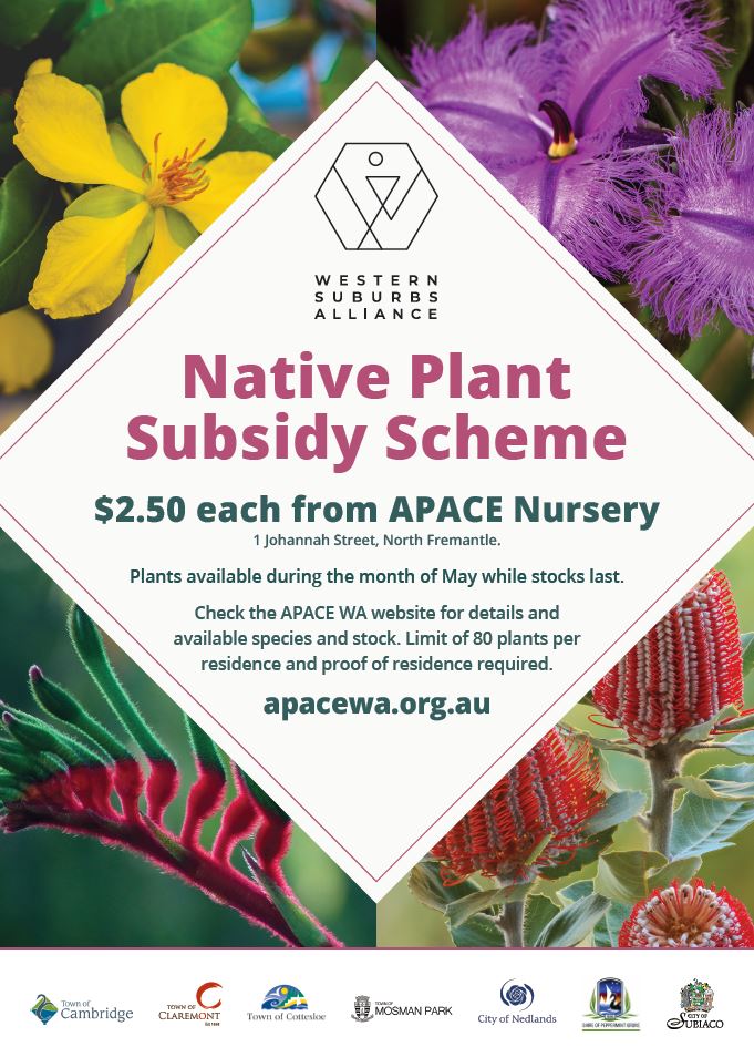 Native Plant Subsidy Scheme » Town of Cottesloe