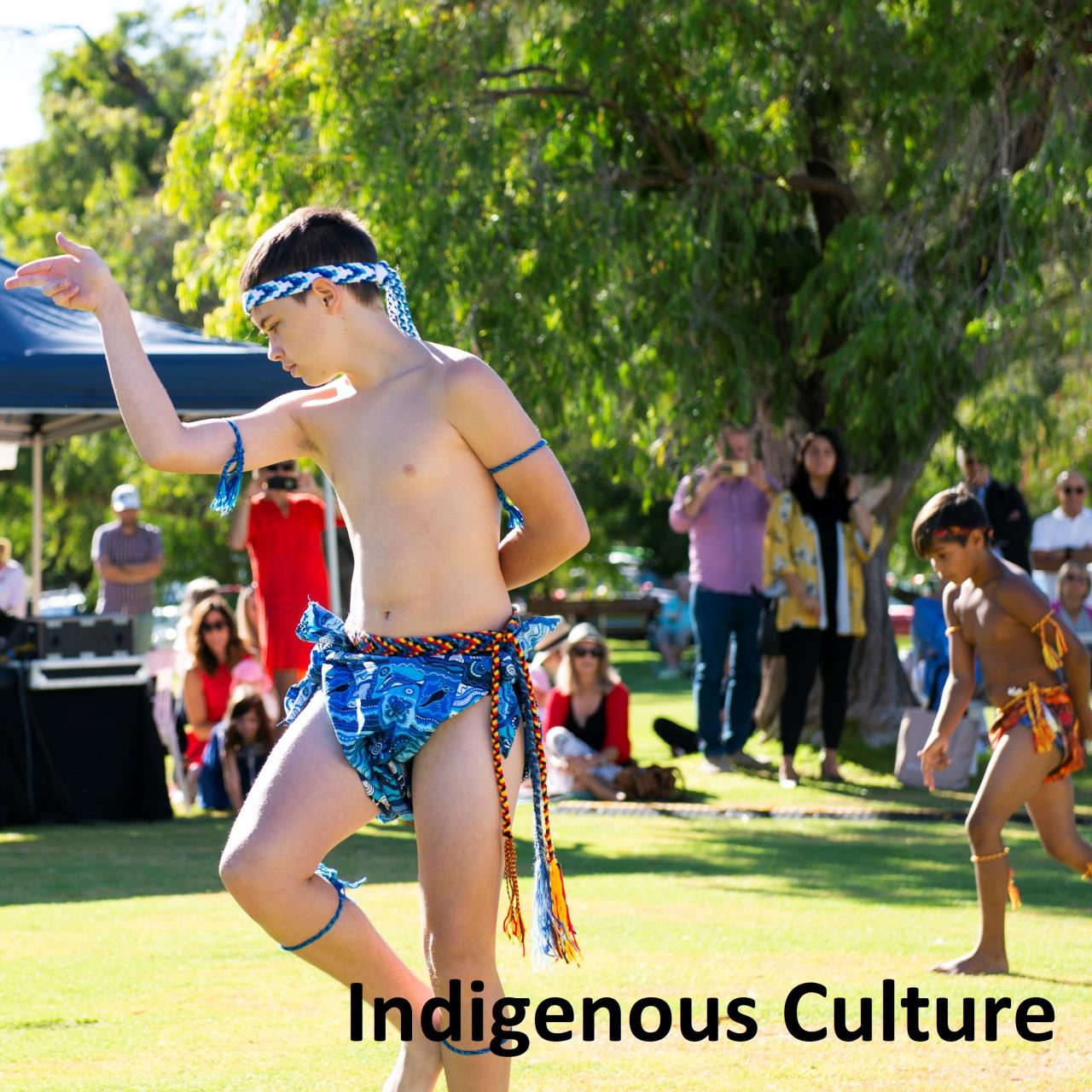 Indigenous Culture