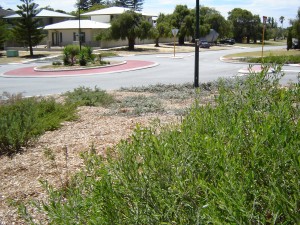 Residential Verges