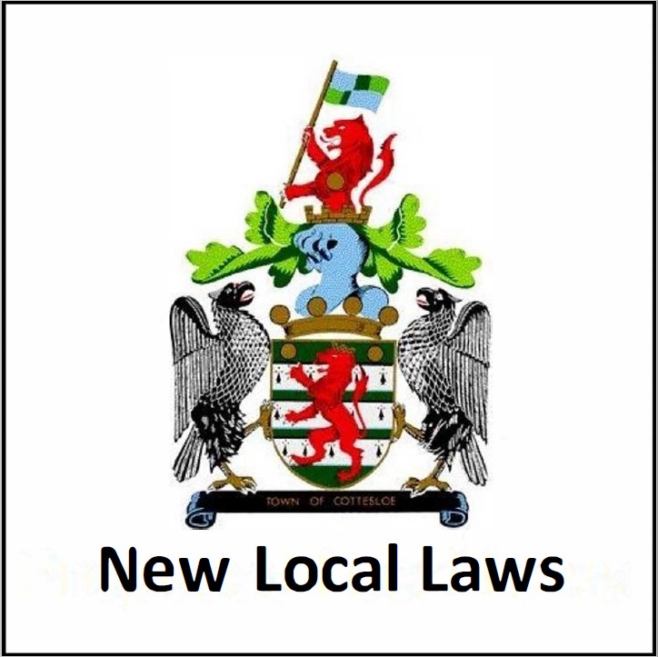 new local laws