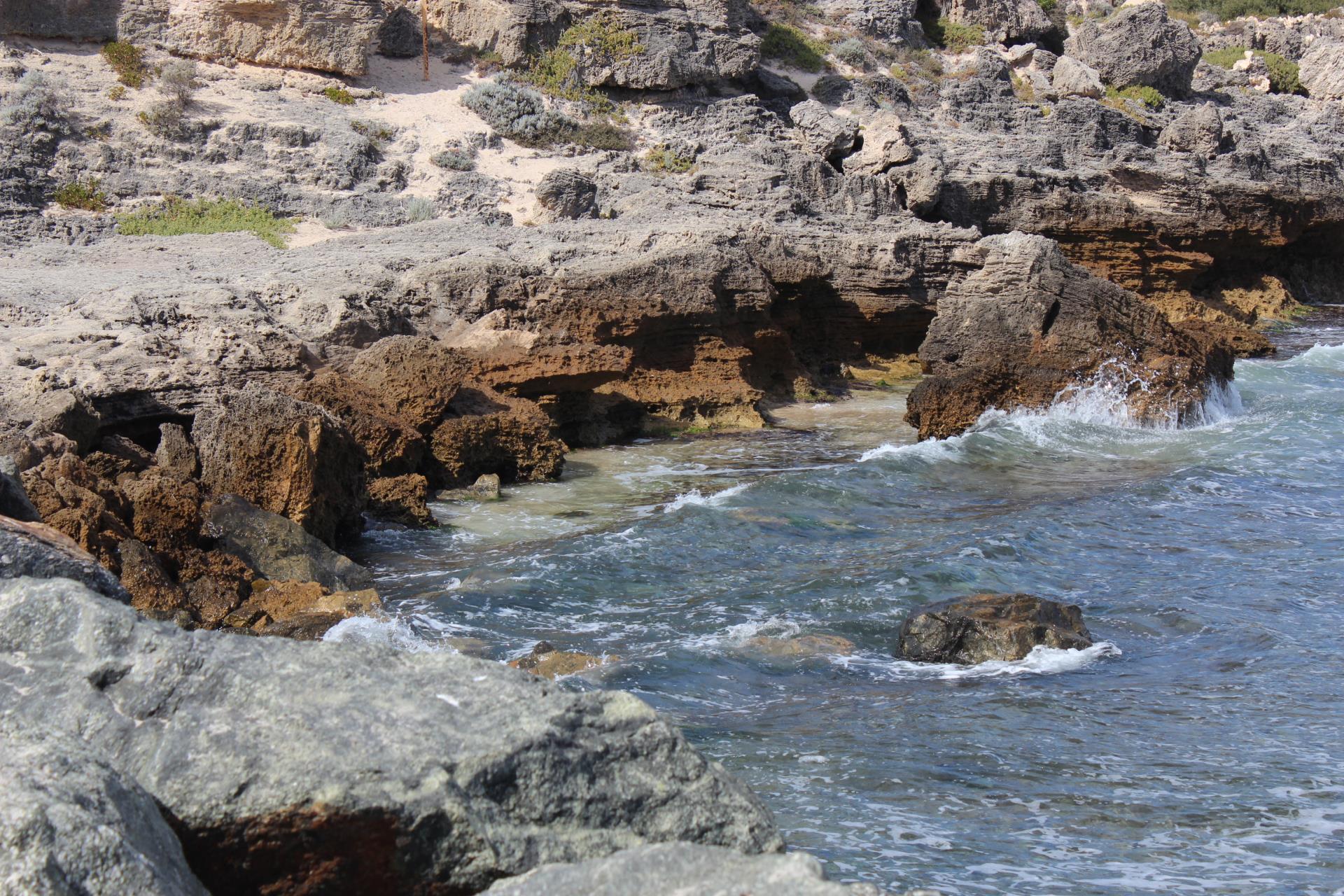 Cottesloe Reef Image