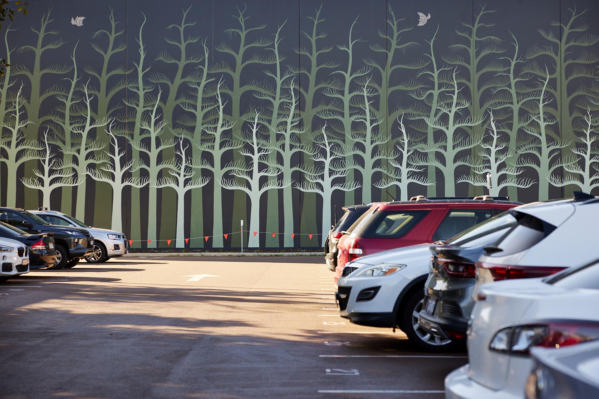 Introducing Paid Parking in Town Centre Image