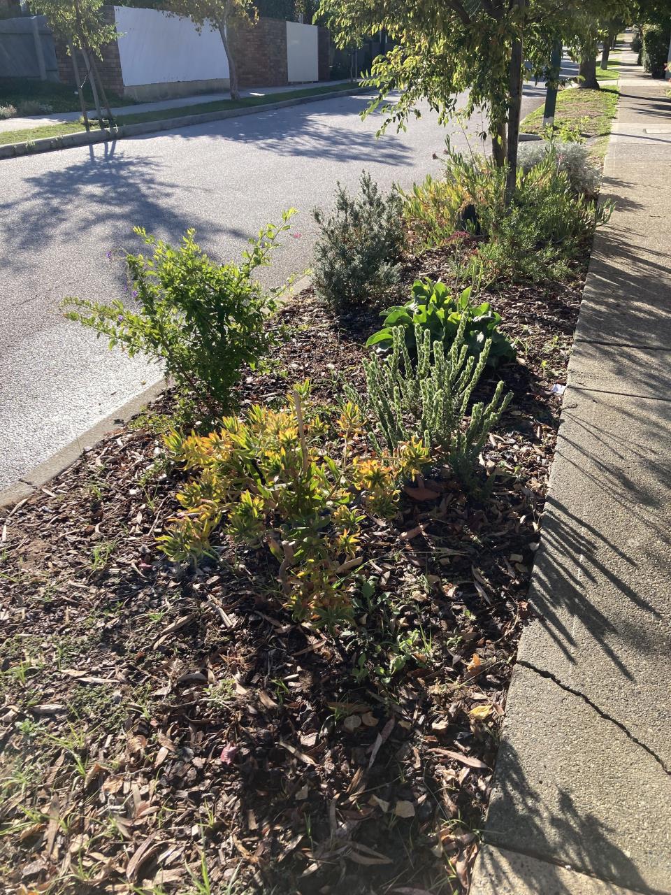NATIVE WATERWISE VERGE REBATE