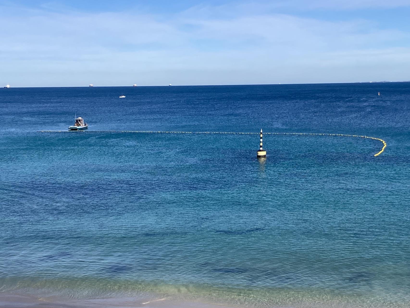Shark barrier removed for winter