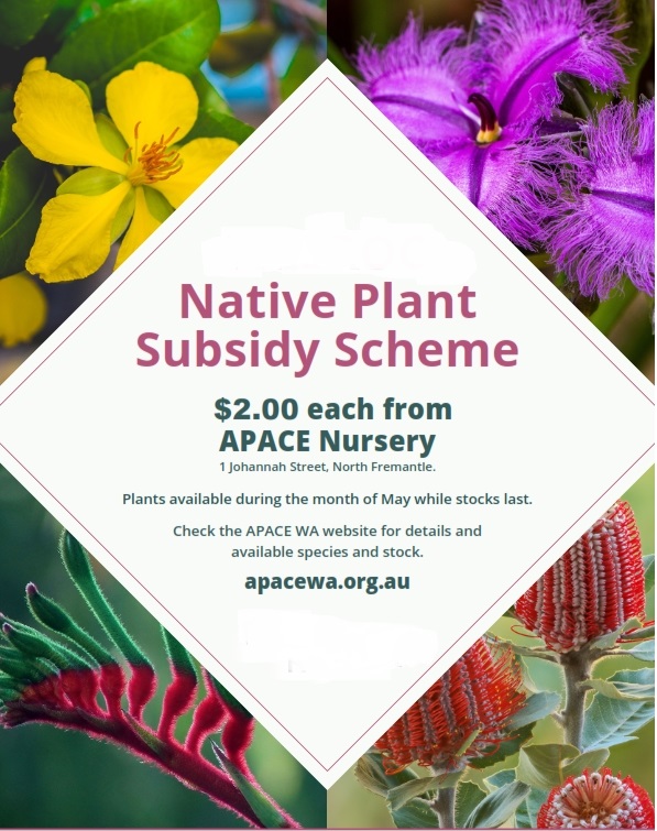 IT'S TIME TO PLANT NATIVES!