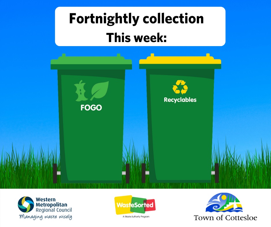 FOGO AND RECYCLING BINS GO OUT THIS WEEK